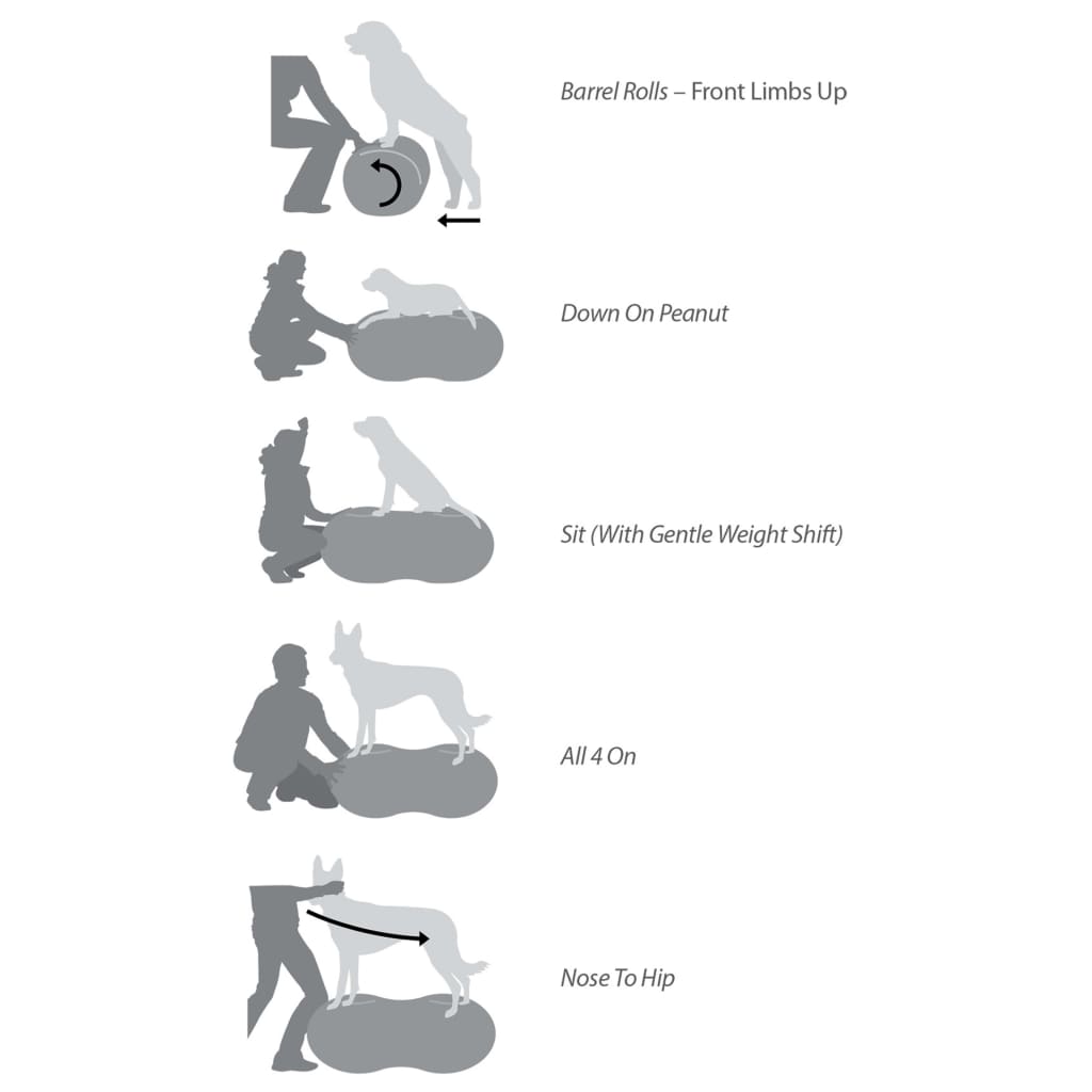 FitPAWS Platformă echilibru animal companie Trax Peanut roșu 50 cm