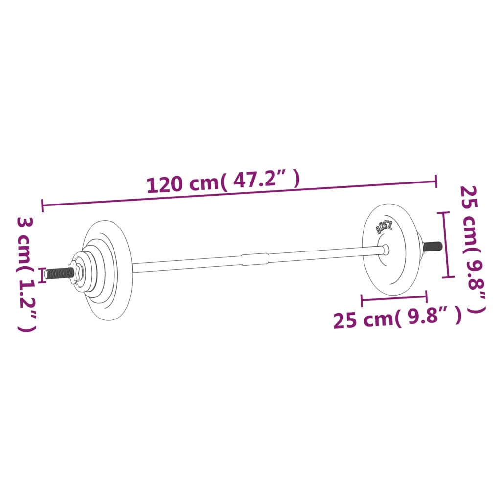 Dumbbell set with discs, 30 kg, cast iron