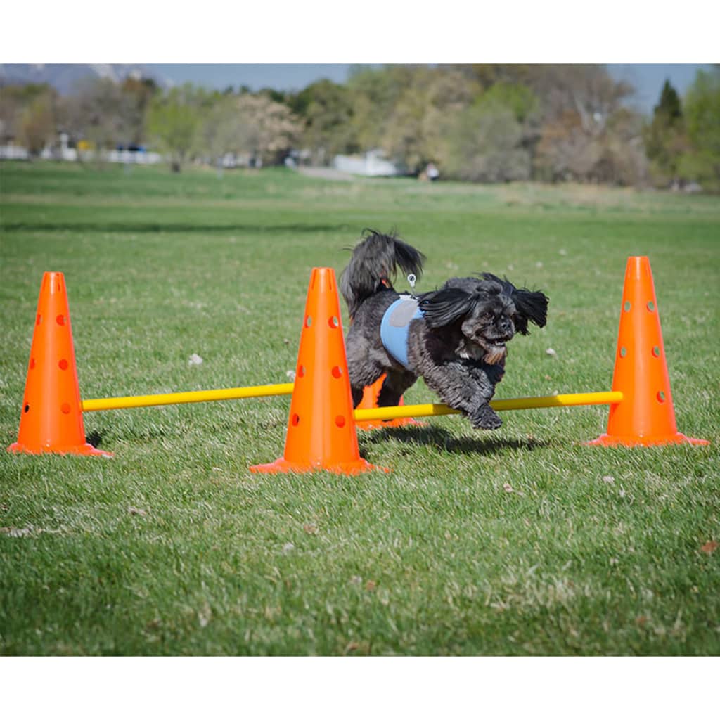 FitPAWS Set de obstacole