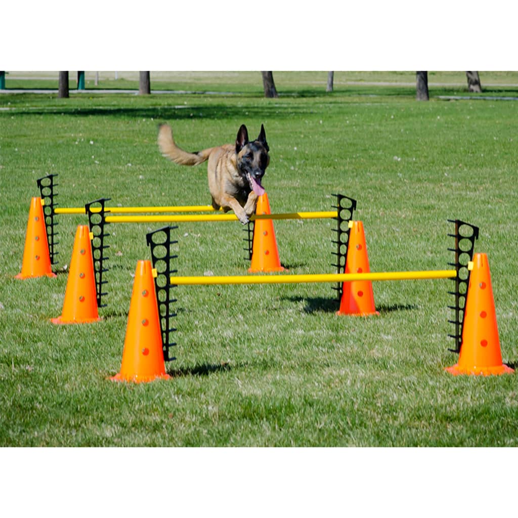 FitPAWS Set de obstacole