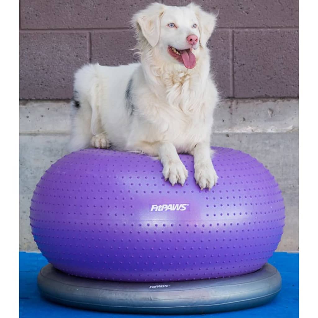 FitPAWS Minge de echilibru animale de companie TRAX Donut violet 55 cm