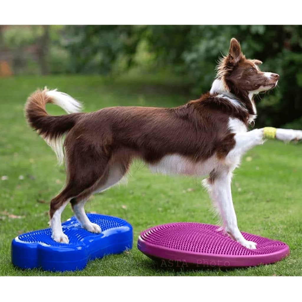 FitPAWS Disc de echilibru pentru animale de companie, roz, 56 cm