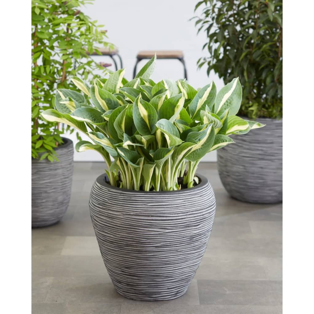 Capi Vas de plante Nature Rib, antracit, 42x38 cm, conic, KOFZ362