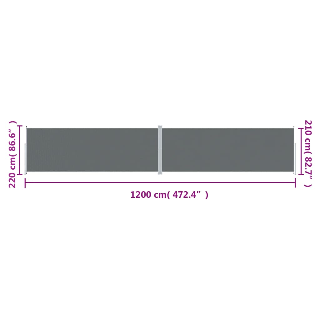 Copertină laterală retractabilă, antracit, 220x1200 cm