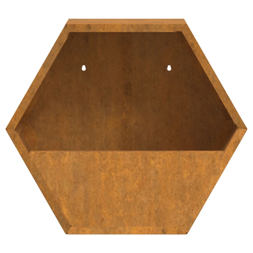 Jardiniere de perete, 2 buc., ruginiu, 30x10x25 cm, oțel corten