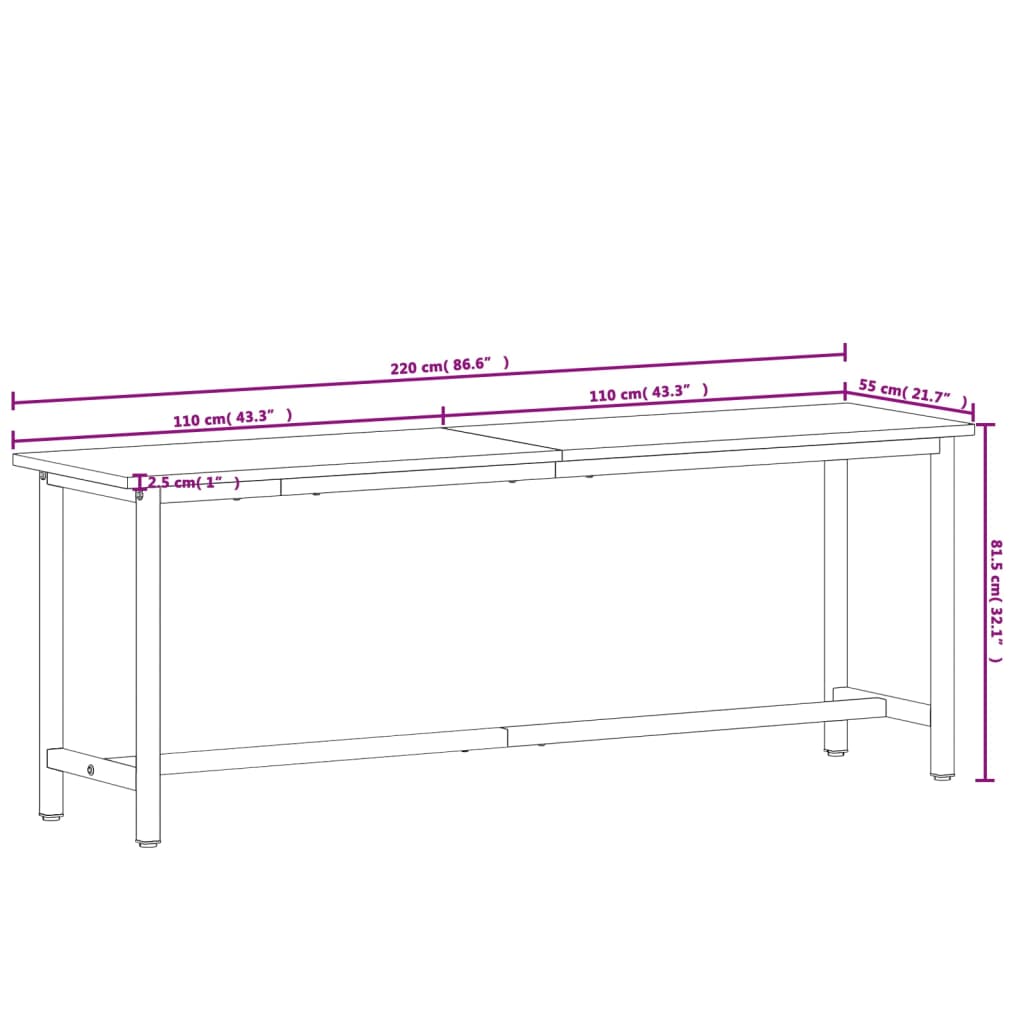 Banc de lucru 220x55x81,5 cm, lemn masiv de fag și metal