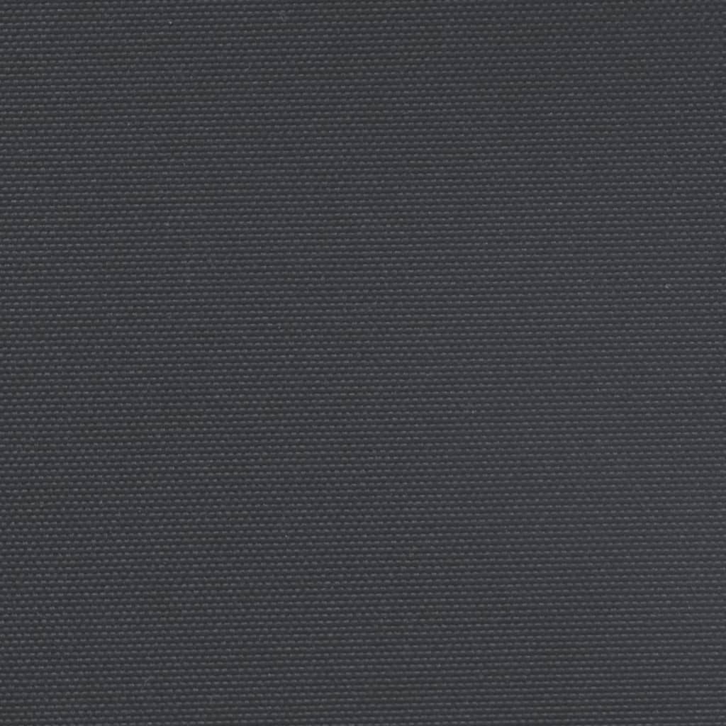Copertina laterală retractabilă, negru, 160x500 cm