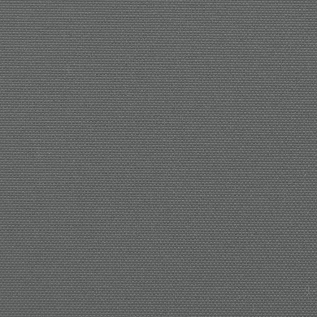 Copertină laterală retractabilă, antracit, 160x500 cm