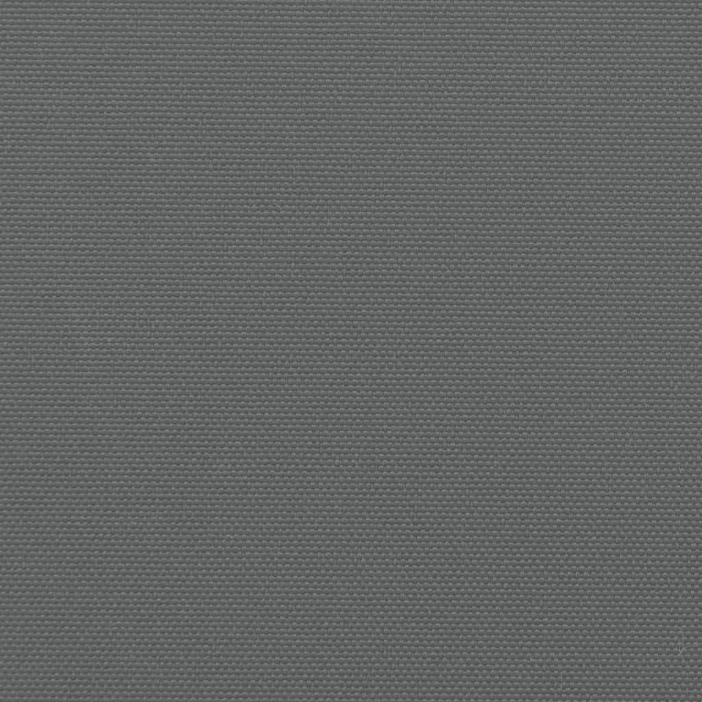 Copertină laterală retractabilă, antracit, 160 x 600 cm