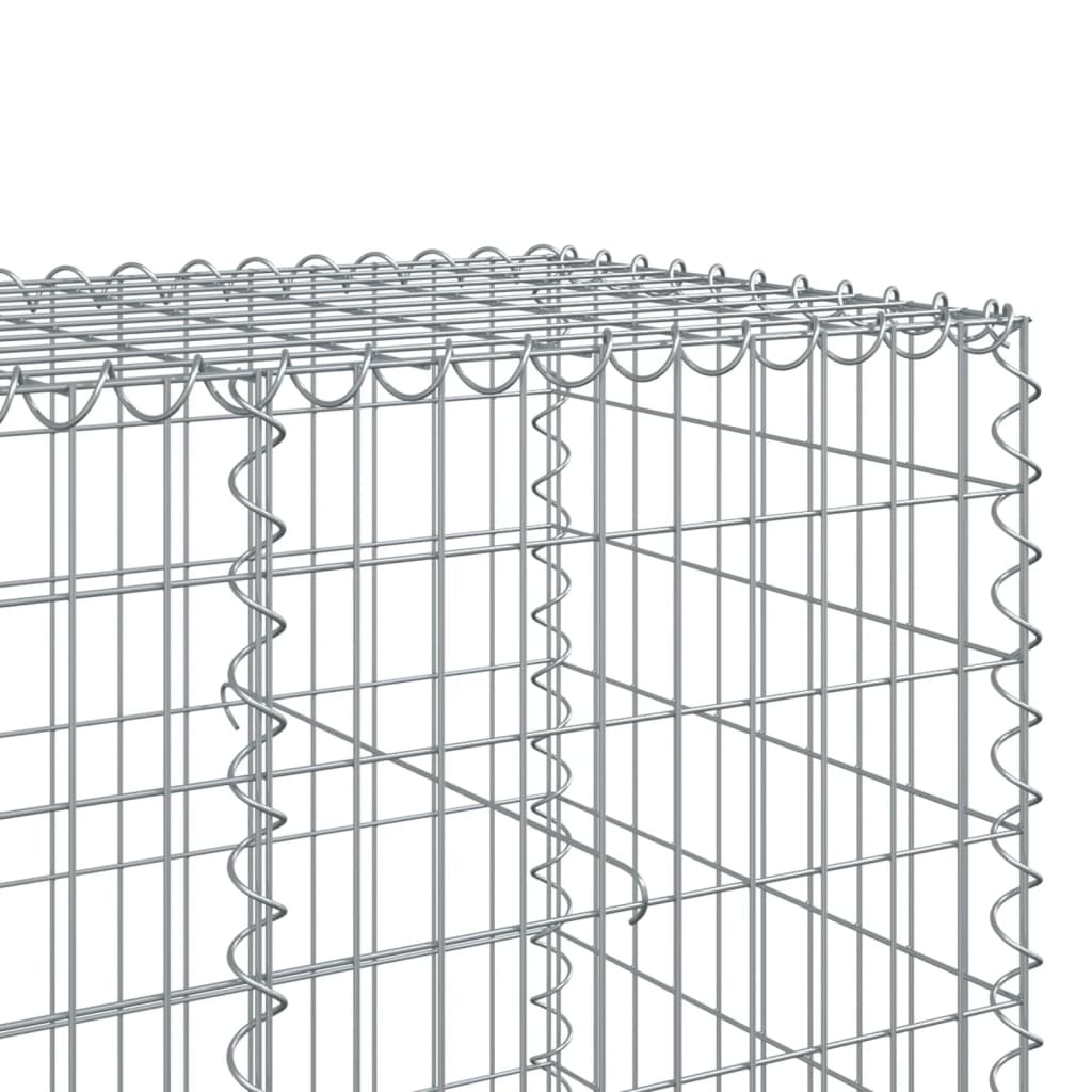 Coș gabion cu capac, 300x100x100 cm, fier galvanizat