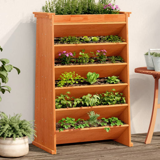 Jardinieră ierburi 6 niveluri maro 69x40x101,5cm lemn masiv pin