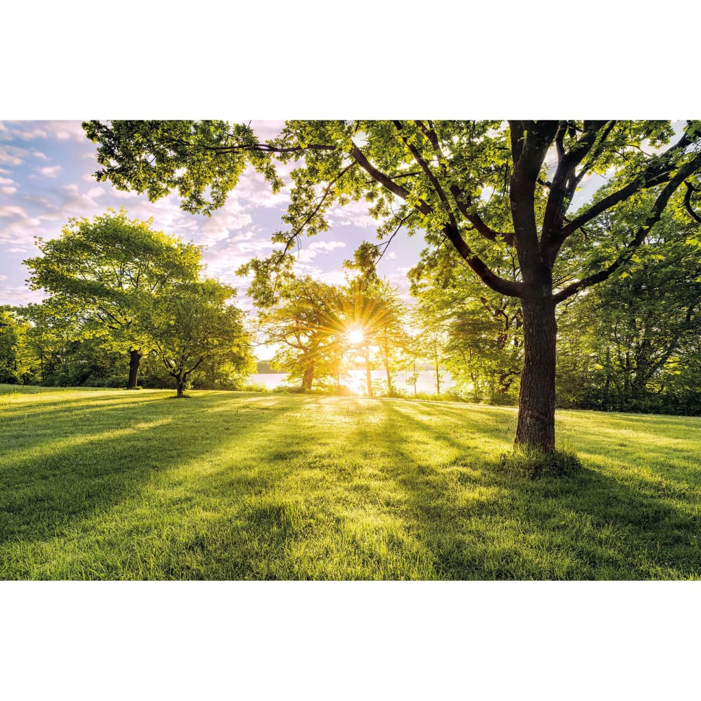 Komar Fototapet mural "Golden Moment", 400x250 cm