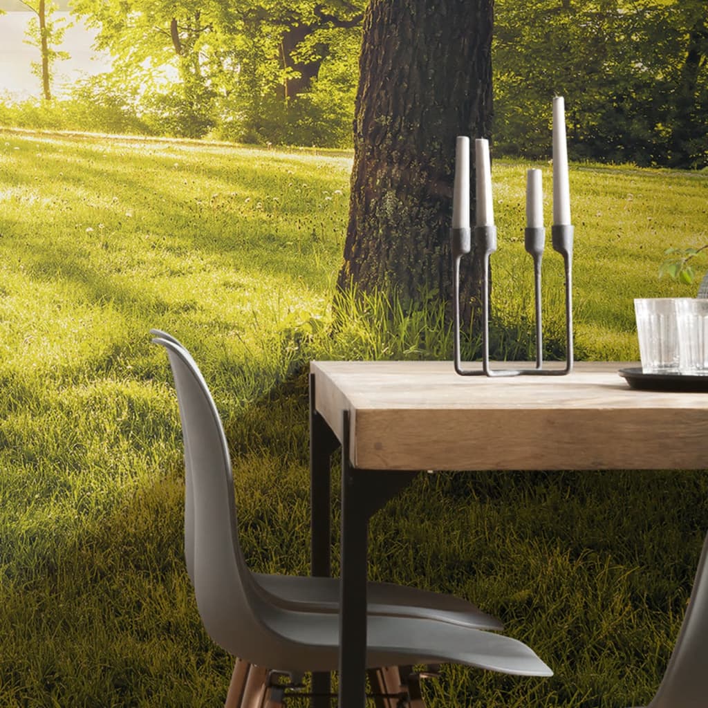 Komar Fototapet mural "Golden Moment", 400x250 cm