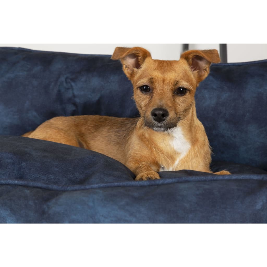 Scruffs &amp; Tramps "Kensington" dog bed, navy blue, 60x50 cm, M