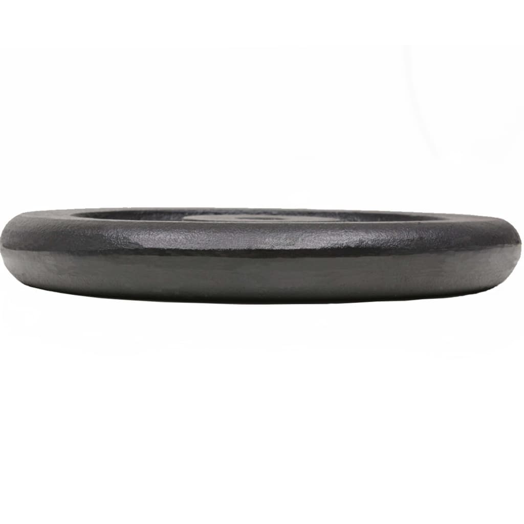 Weight plates, 2 pcs., 2x15 kg, cast iron