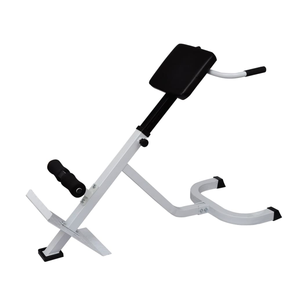 Back exercise bench