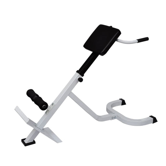 Back exercise bench