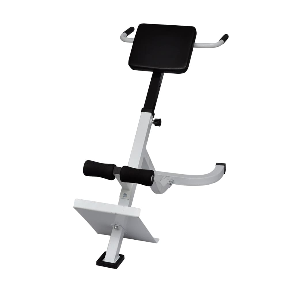 Back exercise bench