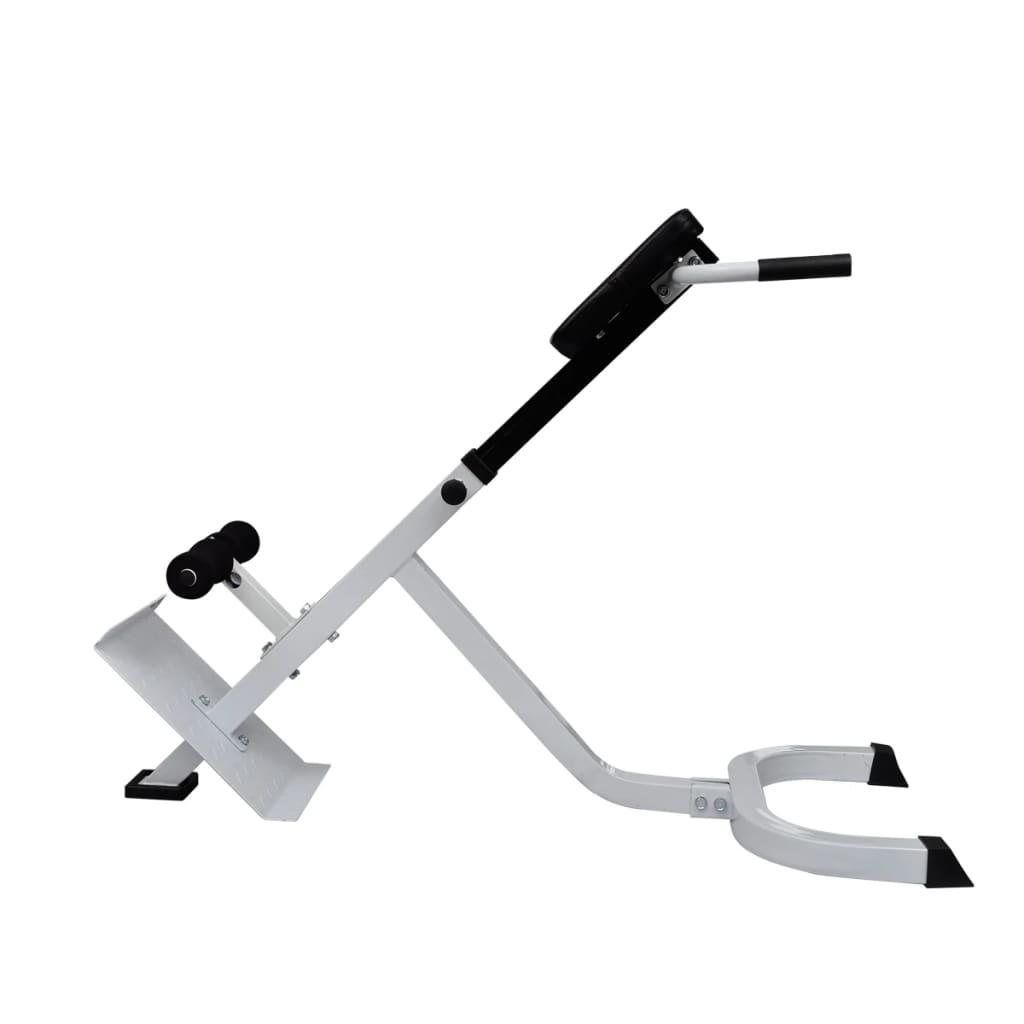 Back exercise bench