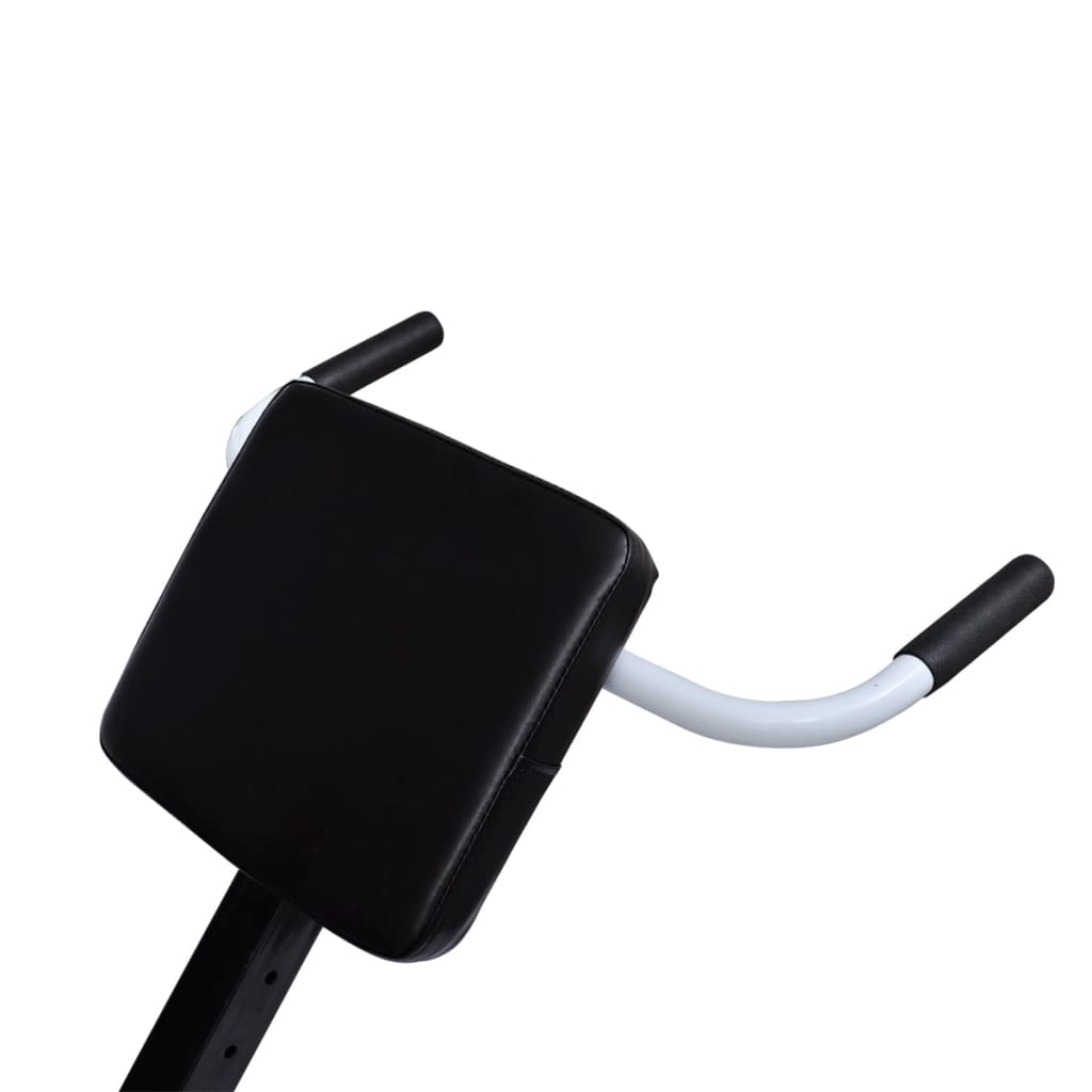 Back exercise bench