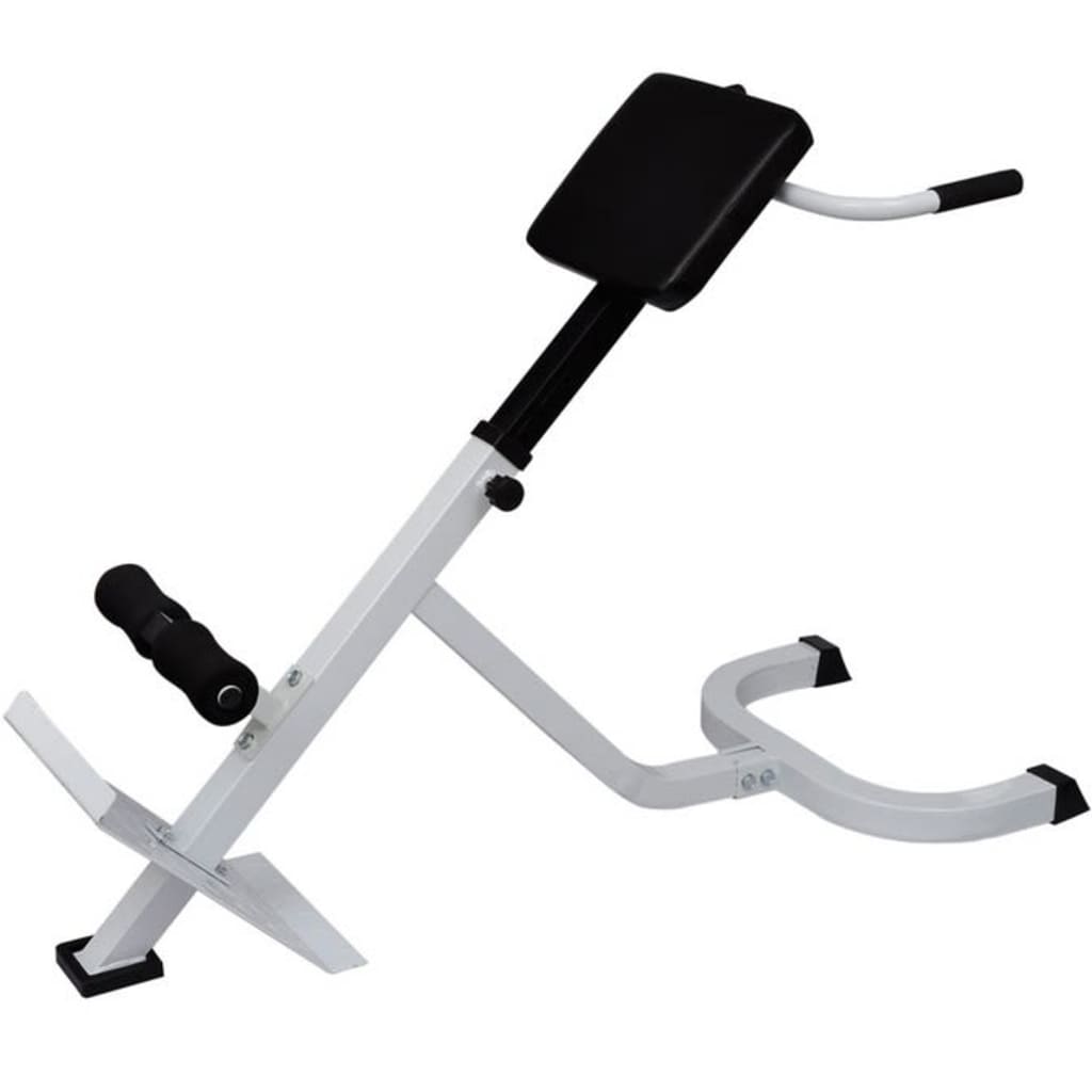 Back exercise bench