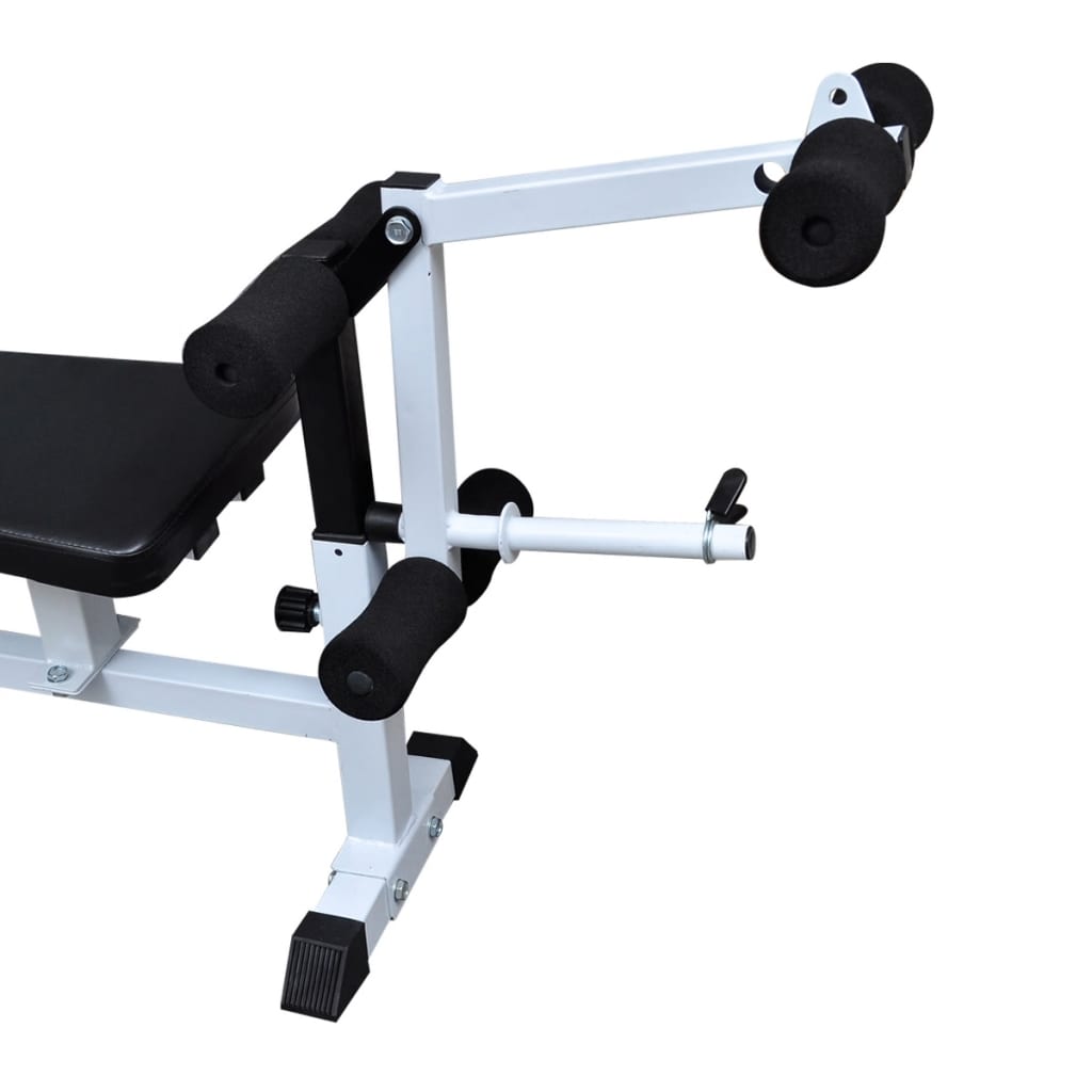 Multifunctional weight bench