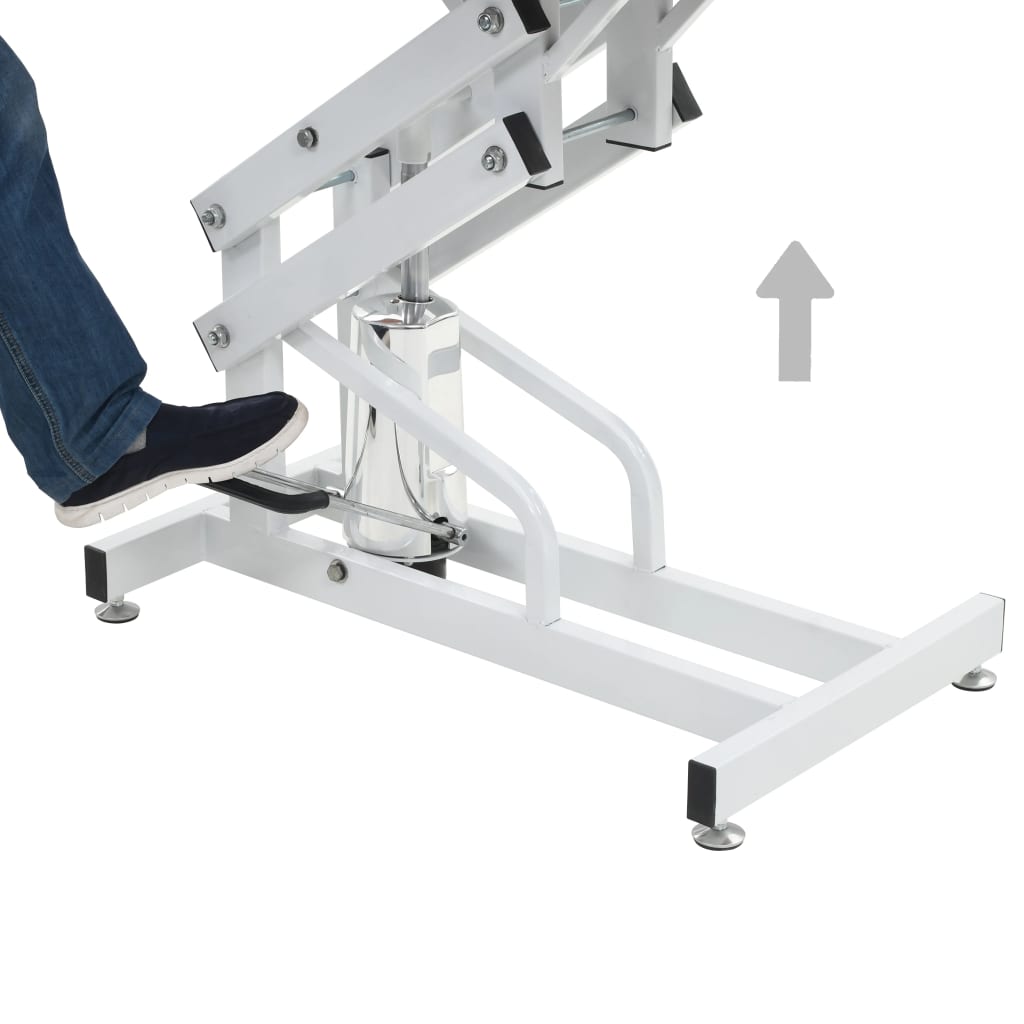 Hydraulic dog toilet table, swivel, adjustable
