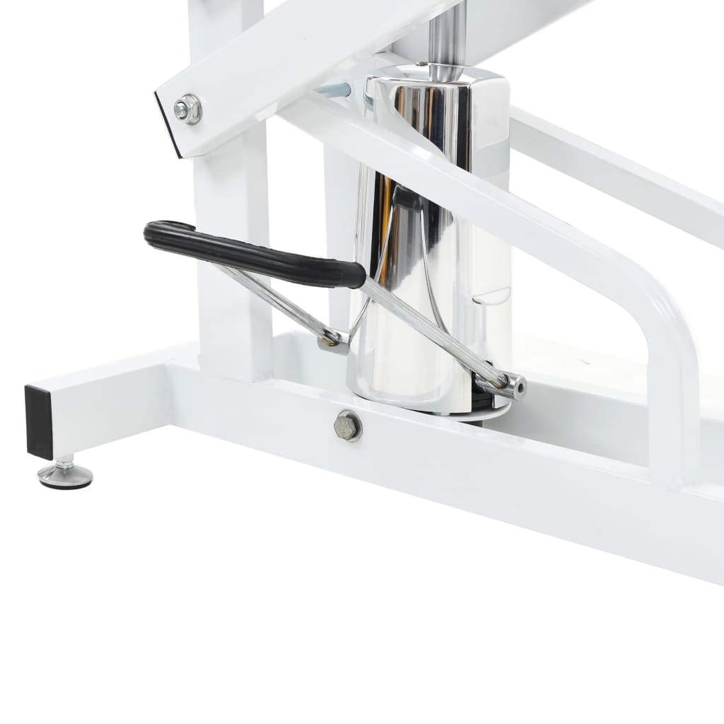 Hydraulic dog toilet table, swivel, adjustable