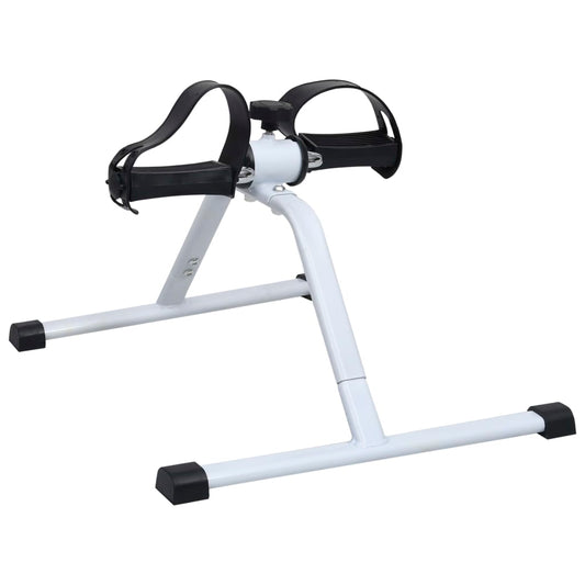 Mini cardio fitness bike