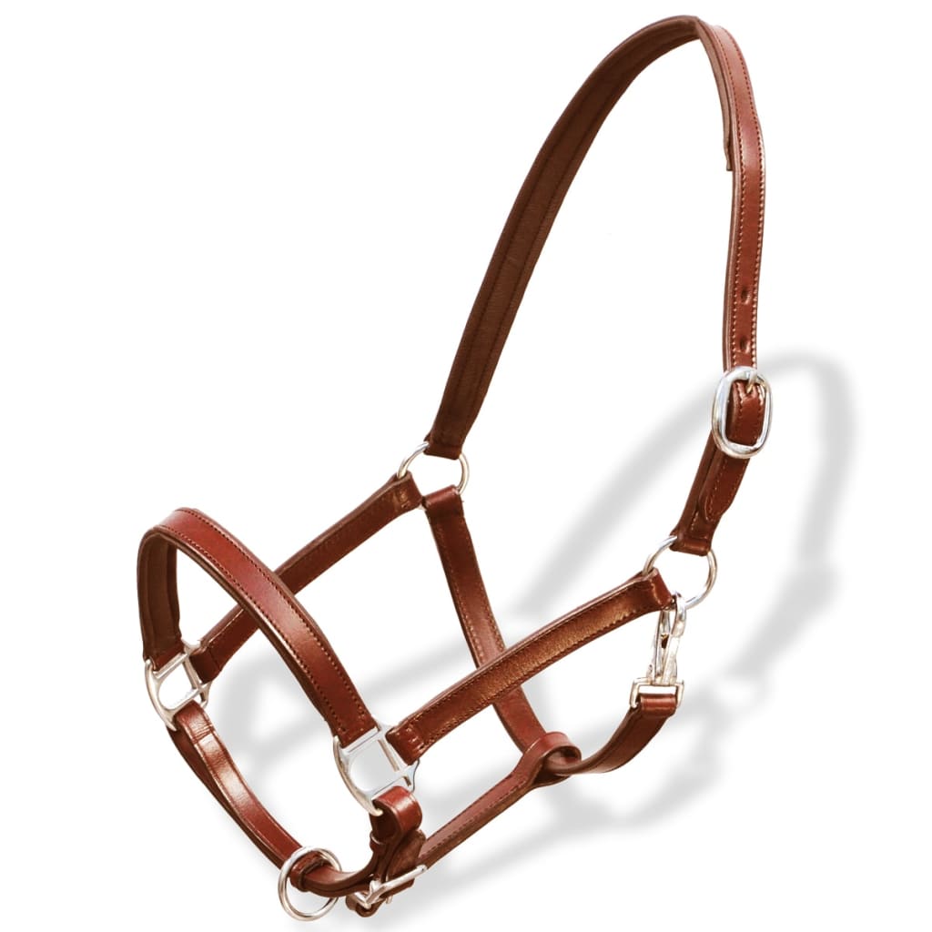 Adjustable bridle for horses, natural leather, brown