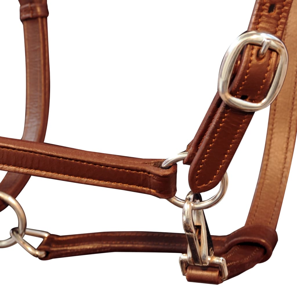 Adjustable bridle for horses, natural leather, brown