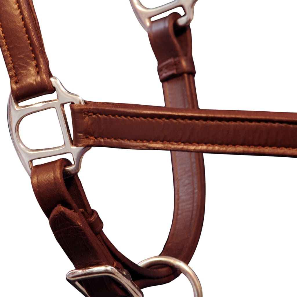 Adjustable bridle for horses, natural leather, brown
