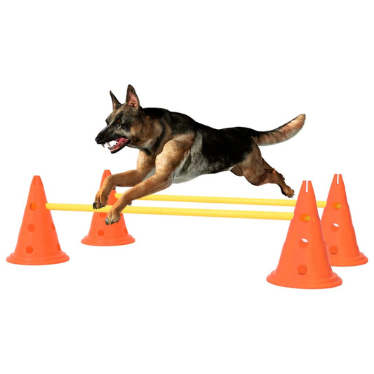 Set of obstacles for dogs, orange and yellow