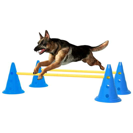 Obstacle set for dog activities, blue and yellow