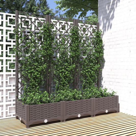 Jardinieră de grădină cu spalier, maro, 120x40x121,5 cm, PP