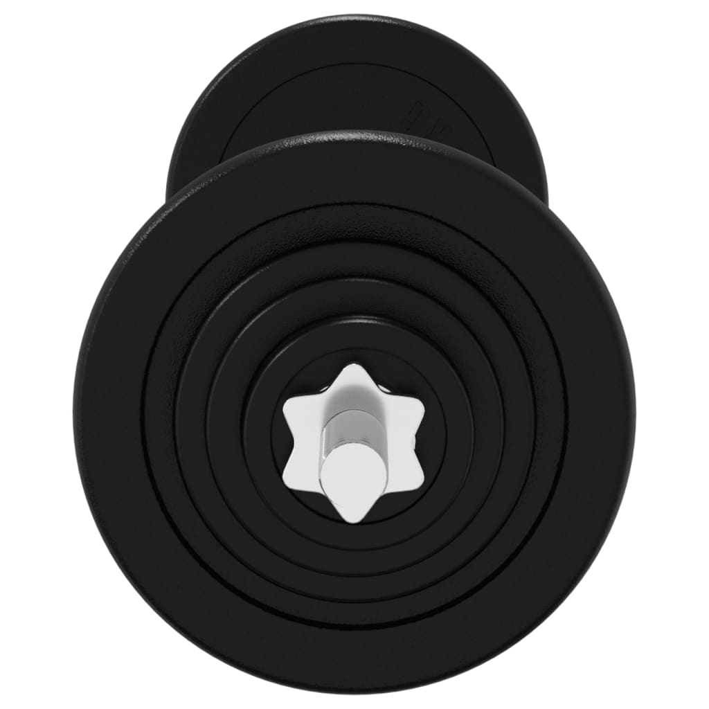 Dumbbell set with discs, 30 kg, cast iron