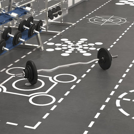 Dumbbell set with discs, 30 kg, cast iron and chrome steel