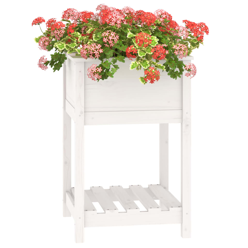 Jardinieră cu raft, alb, 54x54x81 cm, lemn masiv de pin