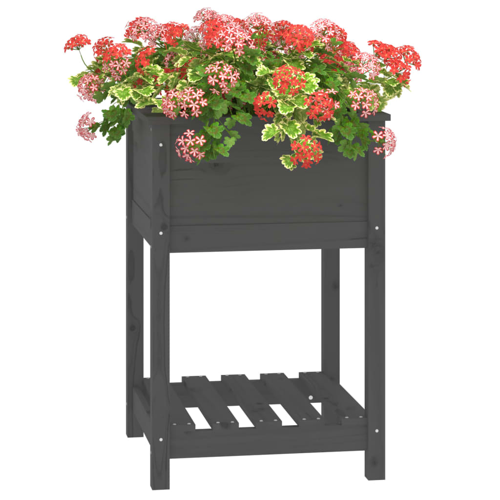 Jardinieră cu raft, gri, 54x54x81 cm, lemn masiv de pin