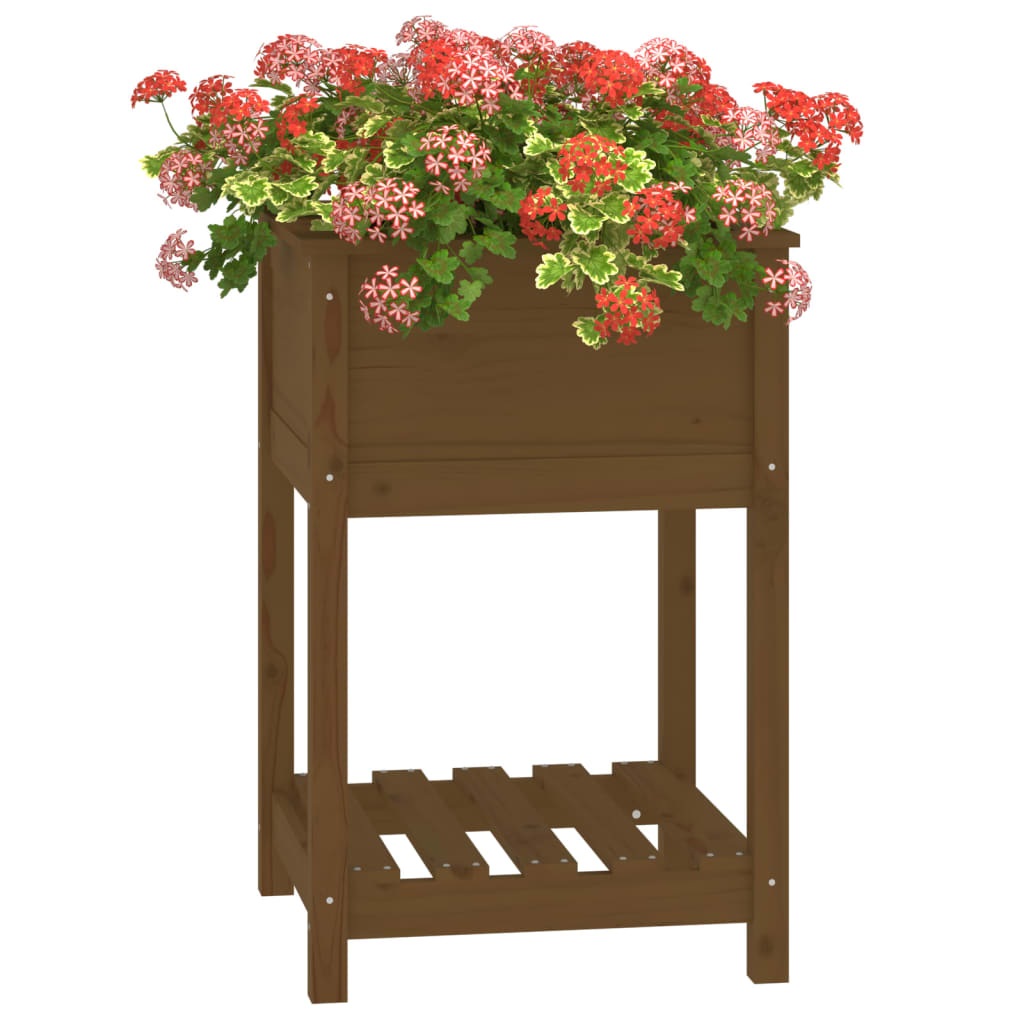 Jardinieră cu raft, maro miere, 54x54x81 cm, lemn masiv pin