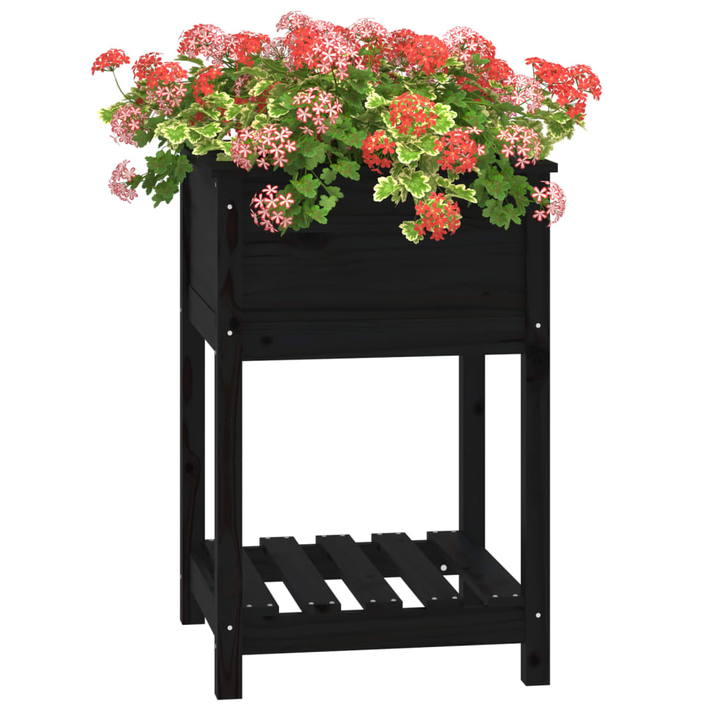 Jardinieră cu raft, negru, 54x54x81 cm, lemn masiv de pin