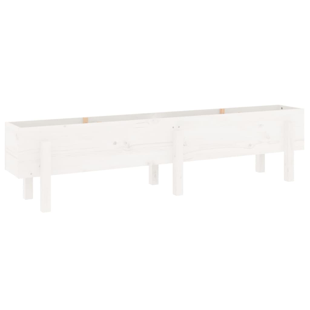 Strat înălțat de grădină, alb, 160x30x38 cm, lemn masiv de pin