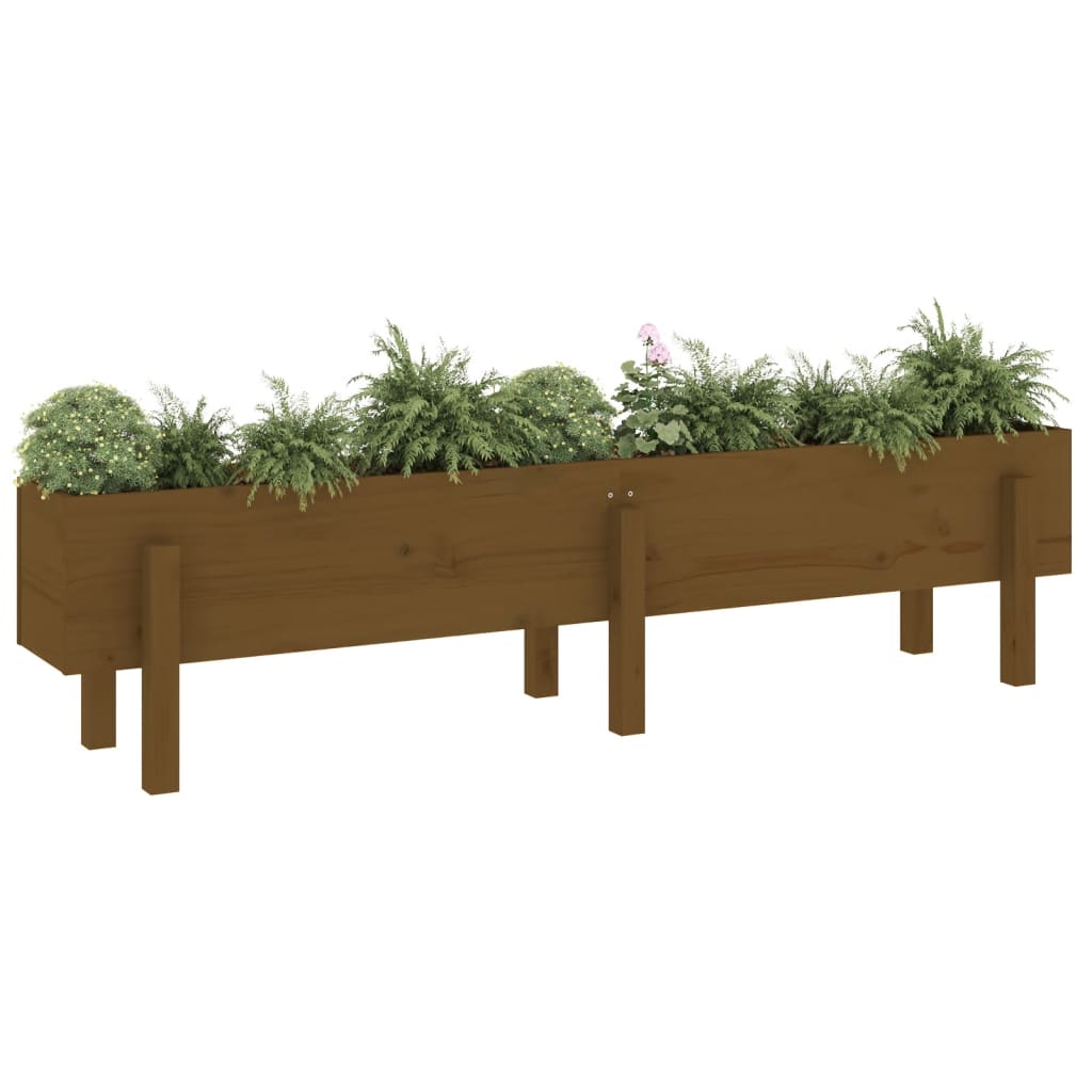 Strat înălțat de grădină maro miere 160x30x38 cm lemn masiv pin