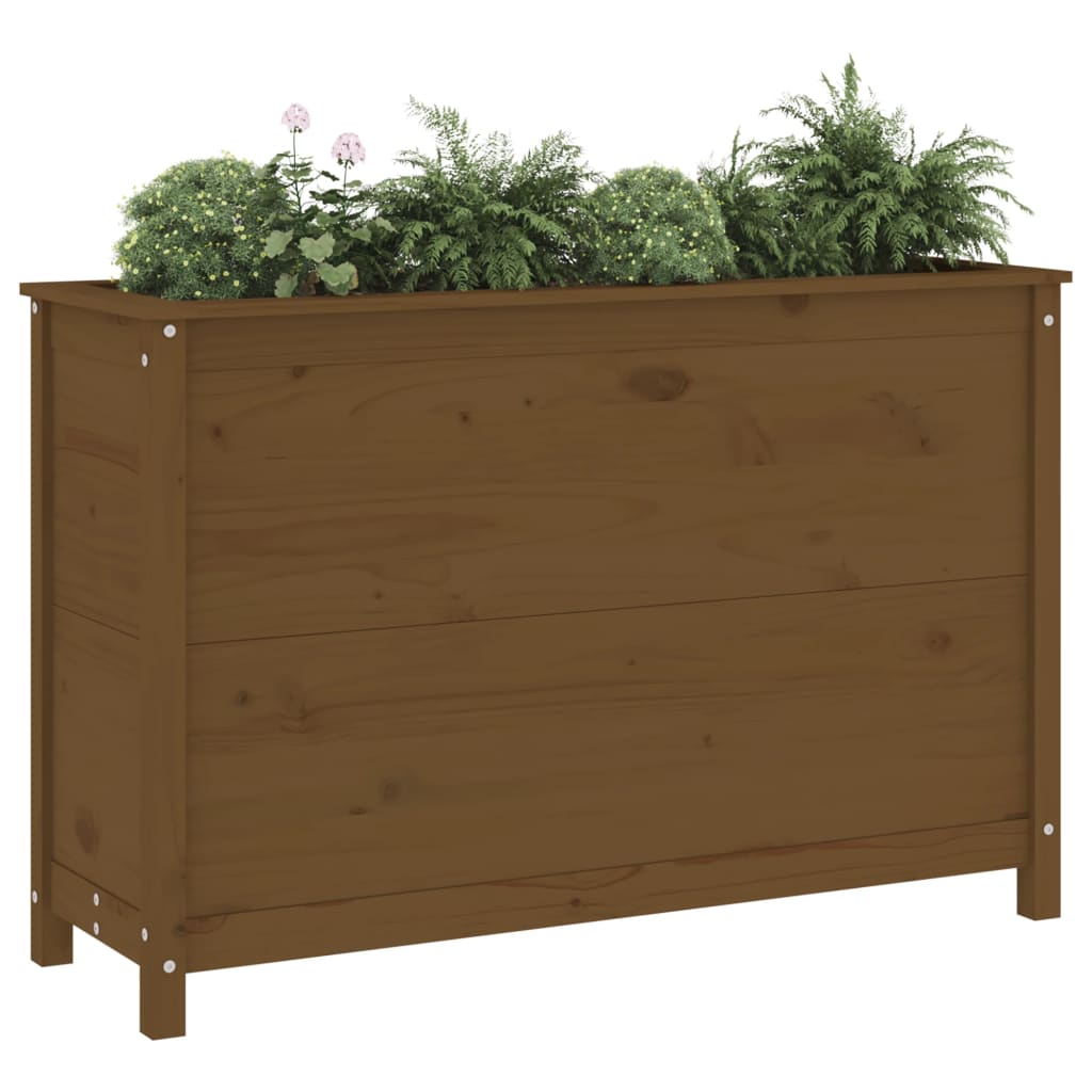 Strat înălțat grădină maro miere 119,5x40x78 cm lemn masiv pin