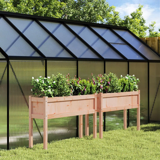 Jardiniere de grădină cu picioare, 2 buc., lemn masiv Douglas