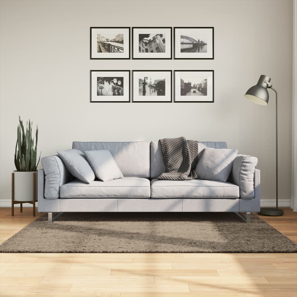 ISTAN carpet, with high threads, glossy appearance, gray, 120x170 cm